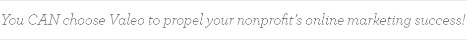 callout 2 transparent Internet Marketing for Nonprofits