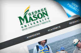 Portfolio TbnLg GMU Internet Marketing for Nonprofits